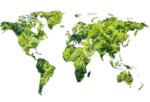 World needs more policy ambition, private funds, and innovation to meet climate goals: IMF